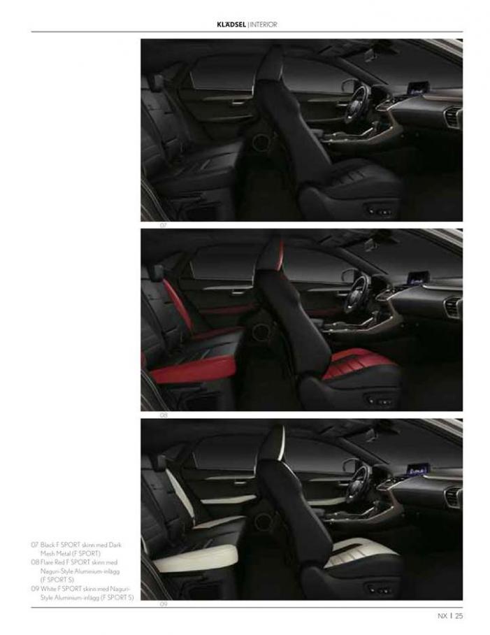  Lexus NX . Page 25