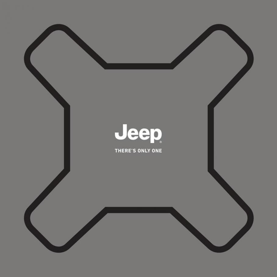  Jeep Renegade . Page 65