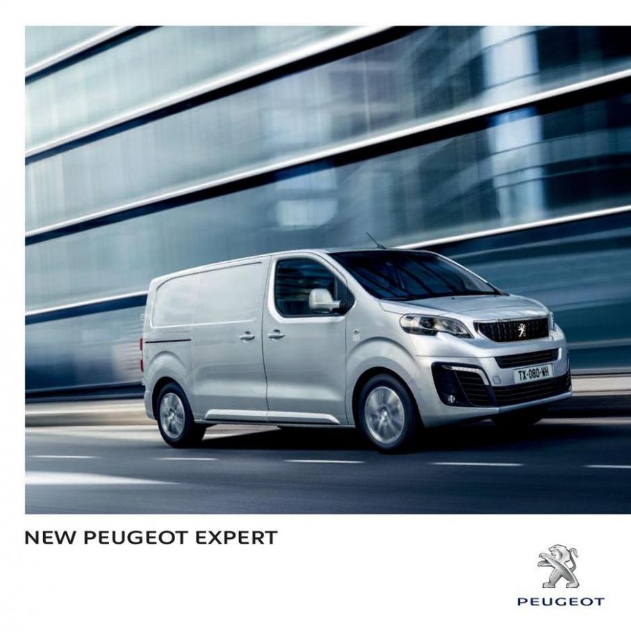 Peugeot Expert . Peugeot (2019-12-31-2019-12-31)
