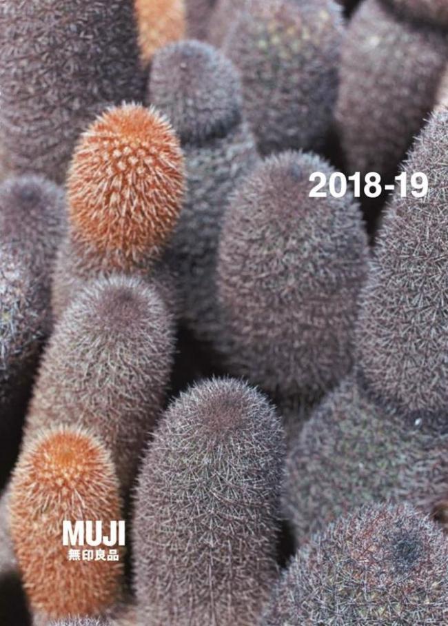 Catalogue 2018-2019 . Muji (2019-12-31-2019-12-31)