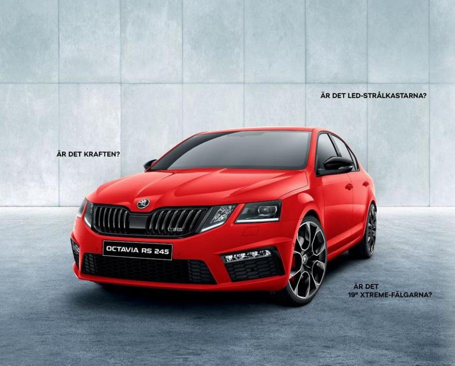  Skoda Octavia RS & RS 245 . Page 17