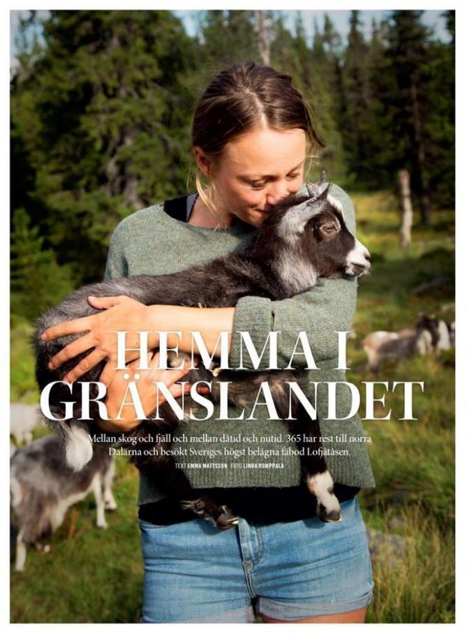  Sommar 2019 . Page 38