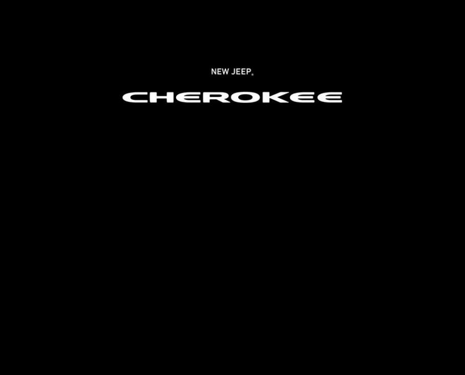  Jeep Cherokee . Page 2