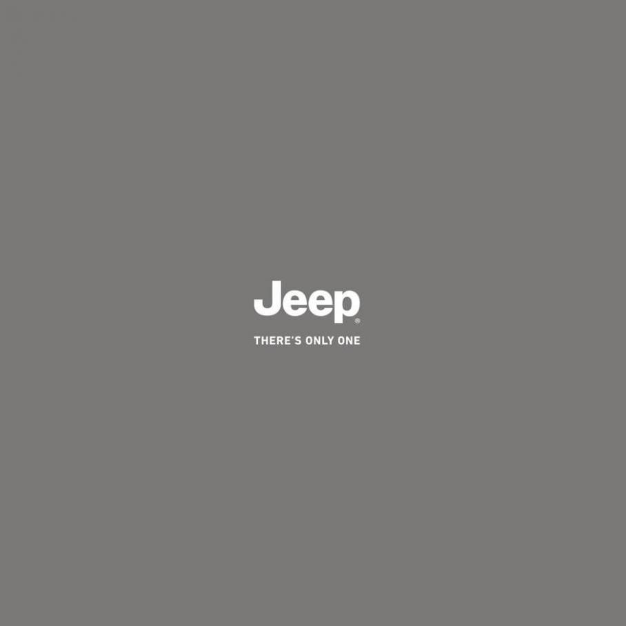  Jeep Renegade . Page 2