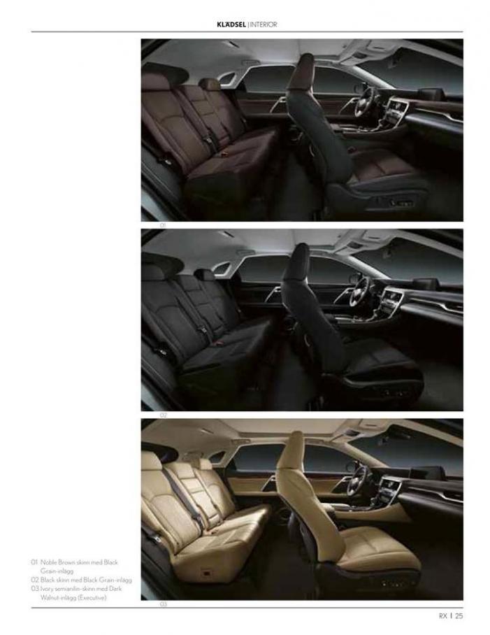  Lexus RX . Page 25