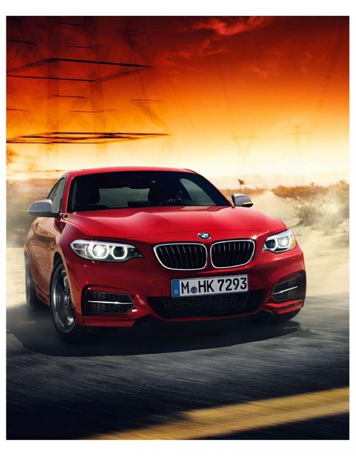  BMW 2 Series . Page 6