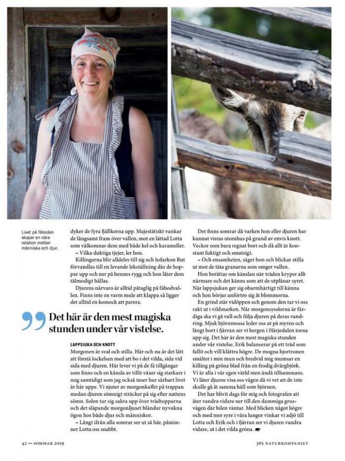  Sommar 2019 . Page 42