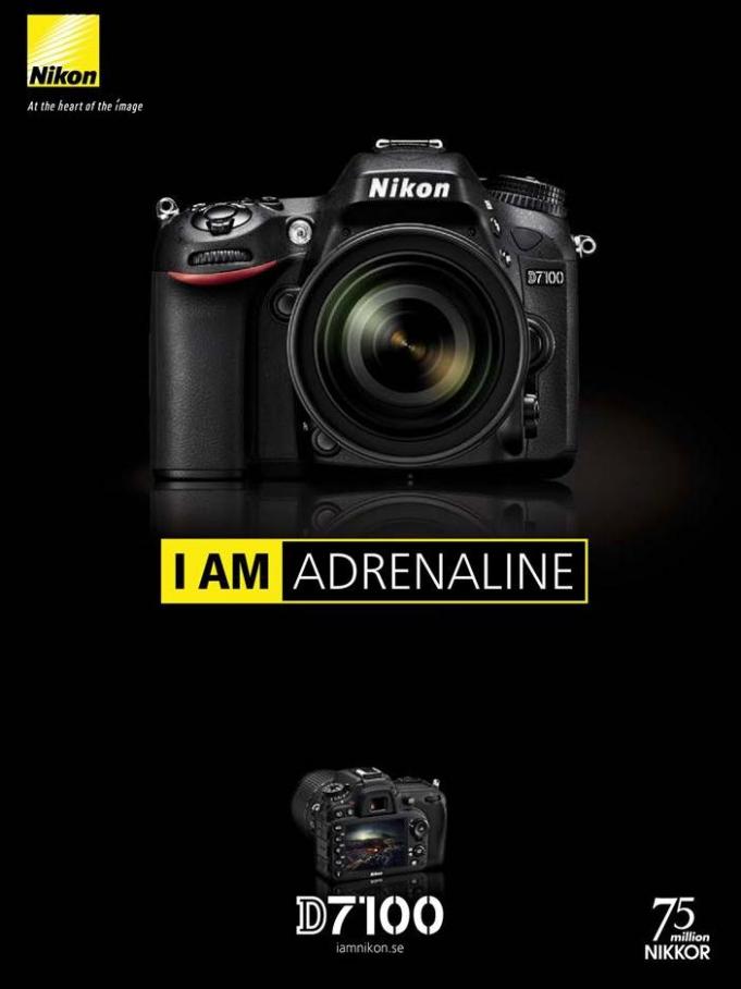 Nikon D7100 . Cyberphoto (2019-10-31-2019-10-31)