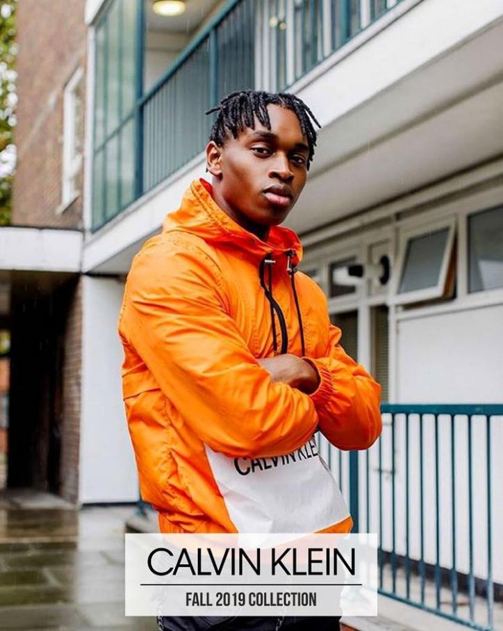 Fall 2019 Collection . Calvin Klein (2019-12-30-2019-12-30)