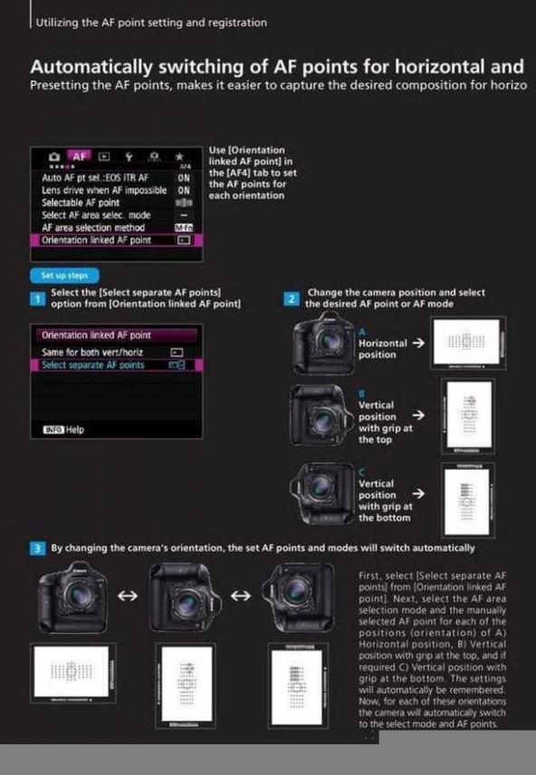  Fotokungen Erbjudande Canon EOS 1Dx . Page 42