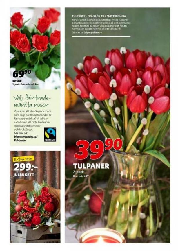  Blomsterlandet Erbjudande Aktuell Kampanj . Page 2