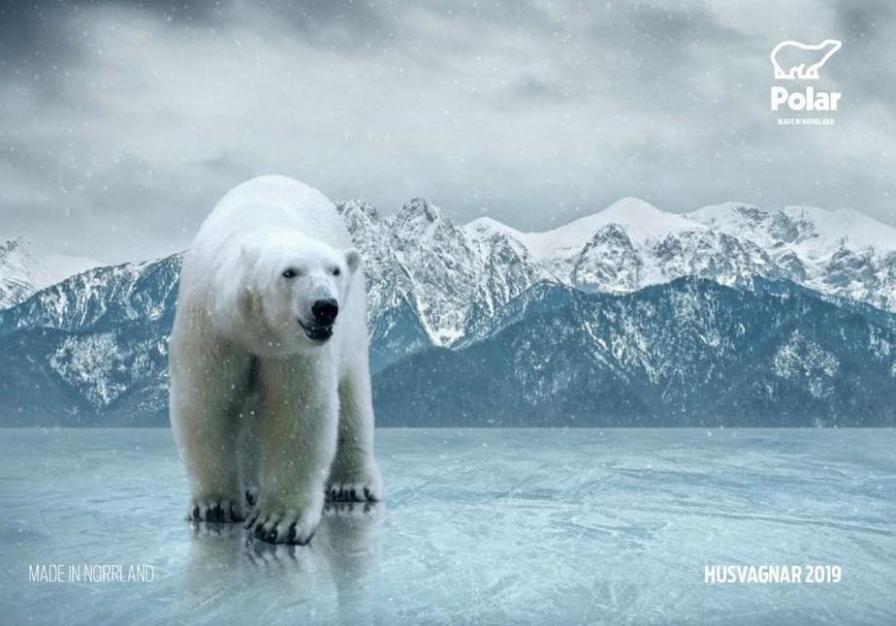 Polar Katalog 2019 . Polar (2019-12-31-2019-12-31)