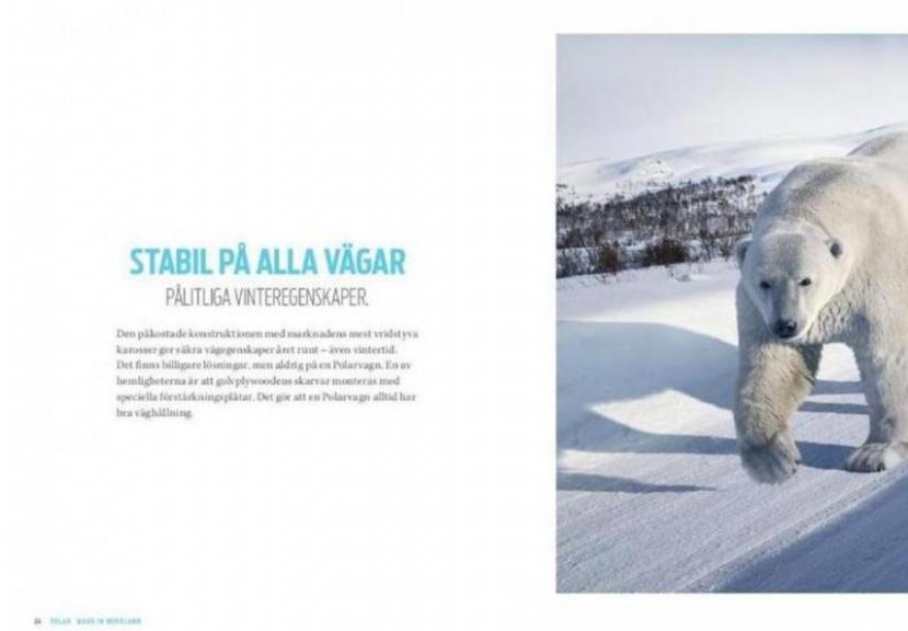  Polar Katalog 2019 . Page 24