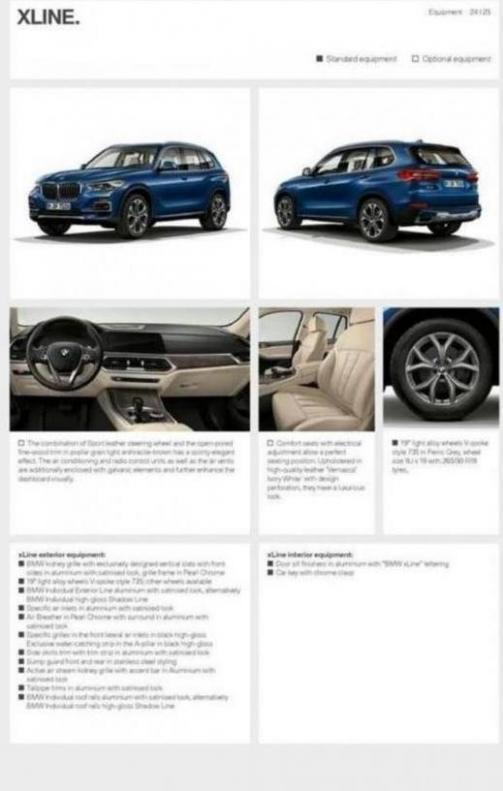  BMW X5 . Page 25
