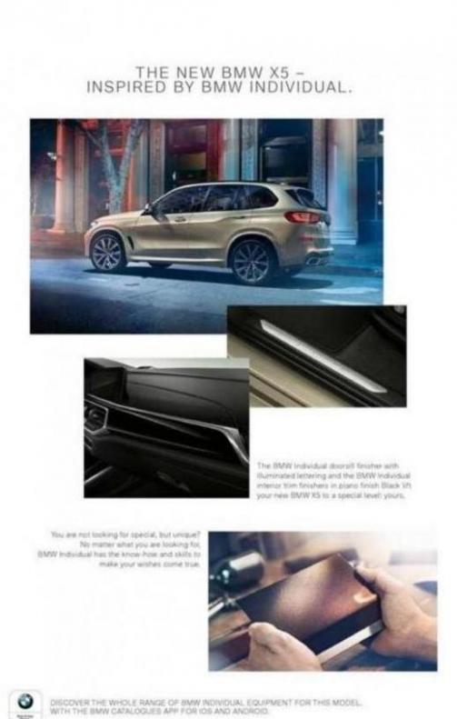  BMW X5 . Page 31