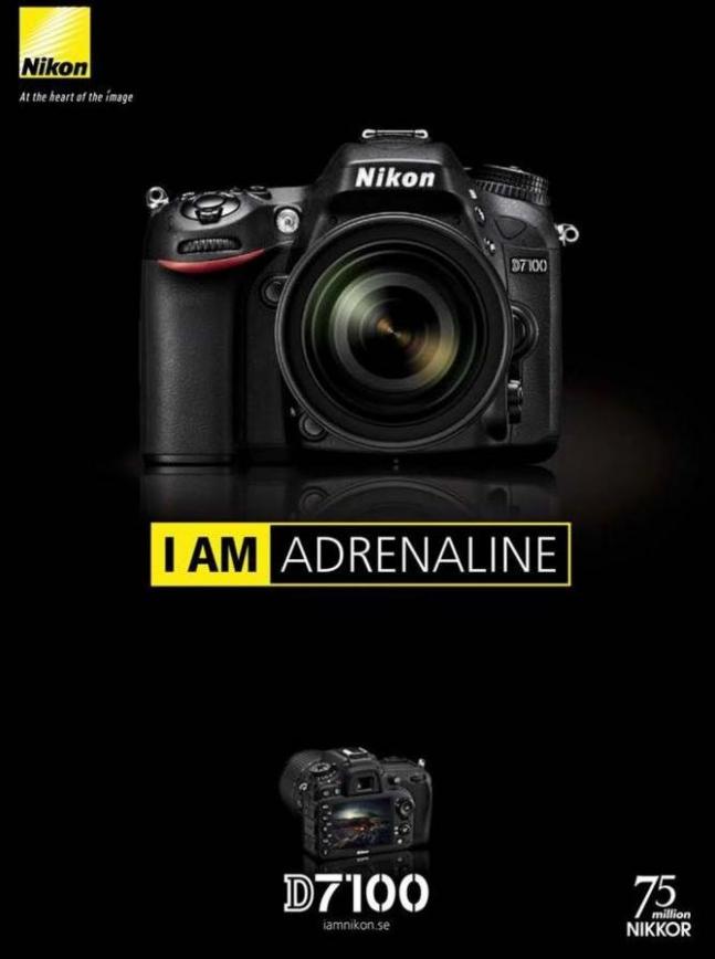 Nikon D7100 . Nikon (2020-01-31-2020-01-31)
