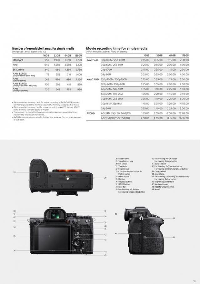  Sony A7R IV . Page 31
