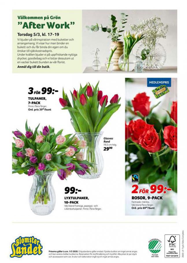  Blomsterlandet Erbjudande Aktuell Kampanj . Page 8