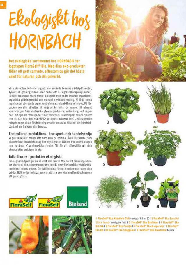  Hornbach Erbjudande Trädgårdstrender . Page 50