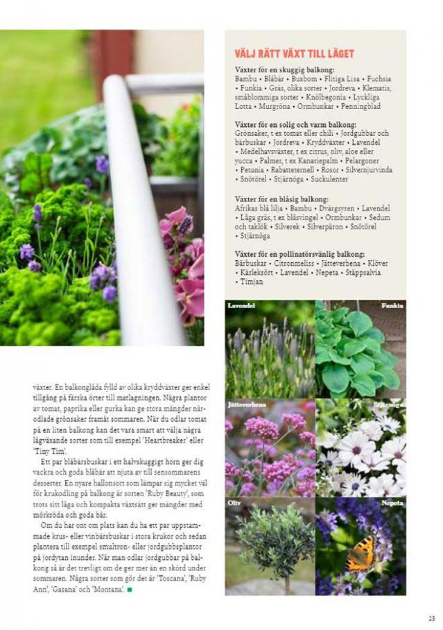  Blomsterlandet Erbjudande Grönska . Page 25