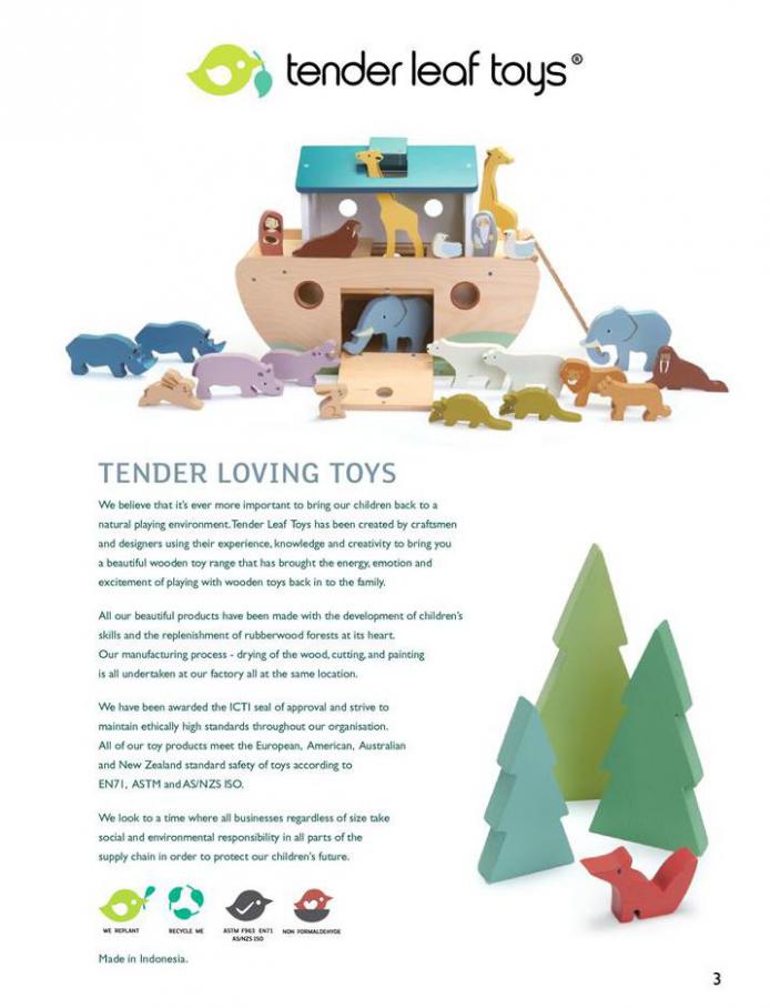  Tender Leaf Toys . Page 3
