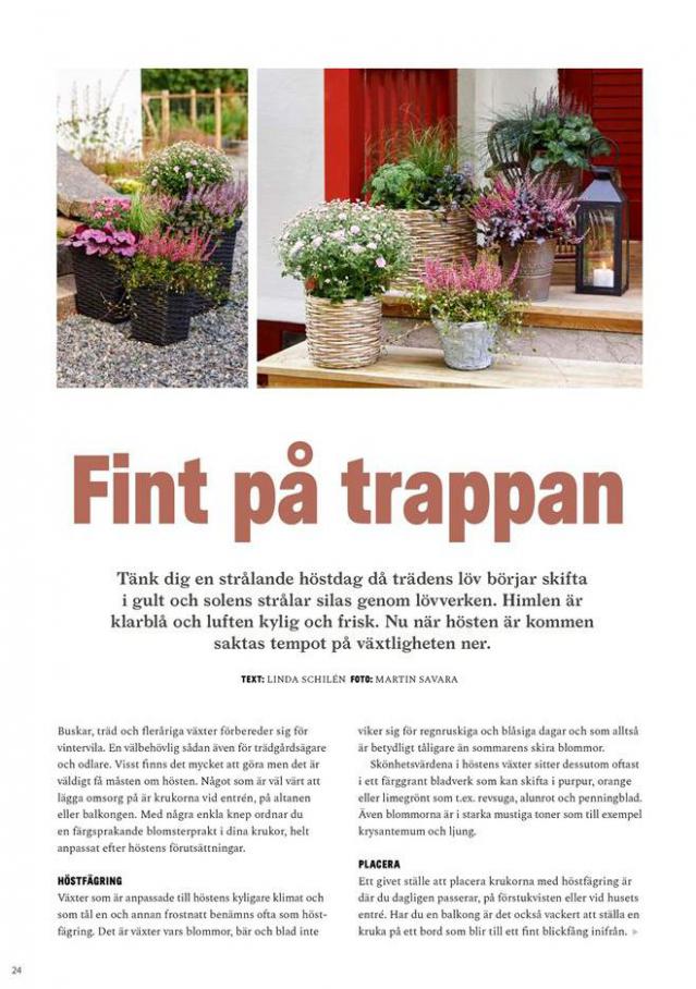  Blomsterlandet Erbjudande Grönska . Page 24