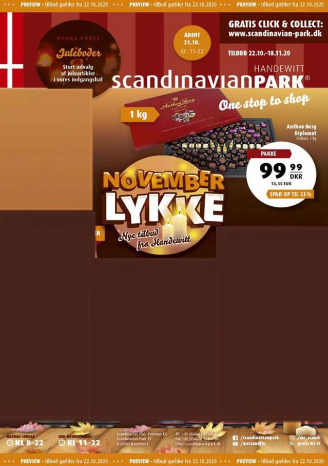 Scandinavian Park Erbjudande Reklamblad . Scandinavian Park (2020-11-18-2020-11-18)