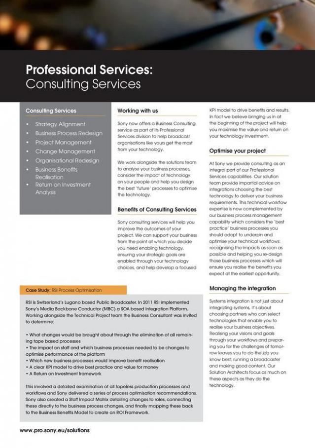  Sony Consulting Services . Page 2