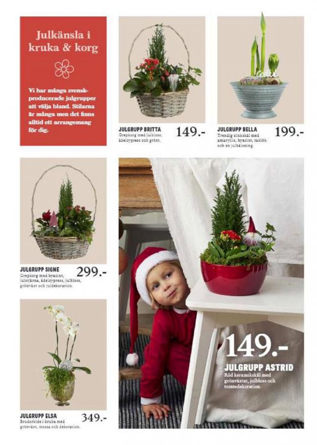  Blomsterlandet Erbjudande Nu är det Jul Igen . Page 2