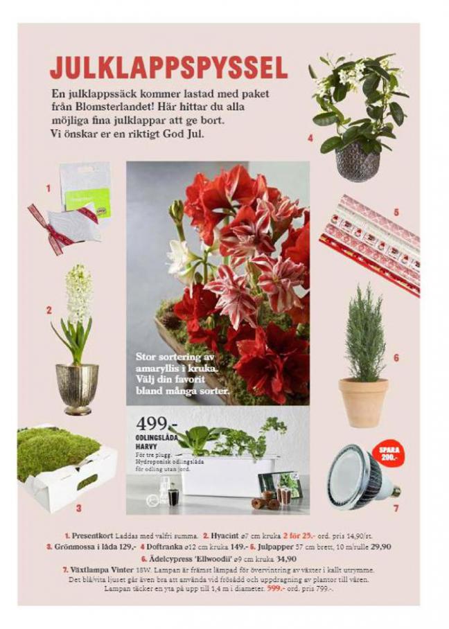  Blomsterlandet Erbjudande Nu är det Jul Igen . Page 7