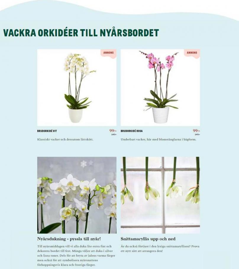  Blomsterlandet Erbjudande Aktuell Kampanj . Page 3