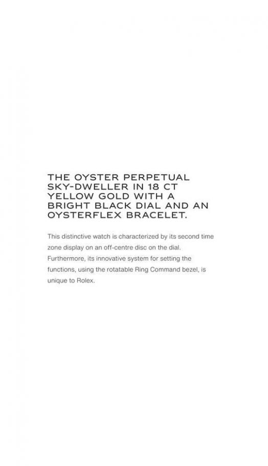  Sky-Dweller . Page 2