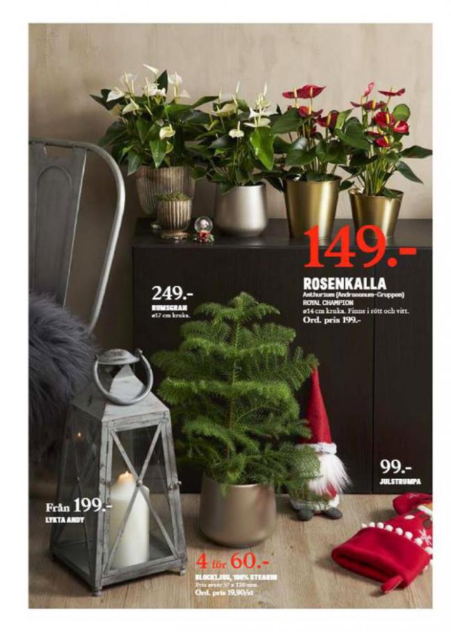  Blomsterlandet Erbjudande Nu är det Jul Igen . Page 6