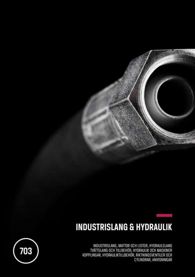 Industrislang & Hydraulik . Swedol (2021-12-31-2021-12-31)