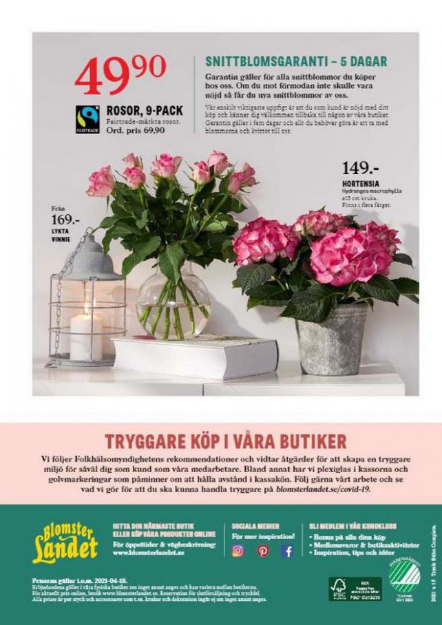  Blomsterlandet Erbjudande Aktuell  . Page 12