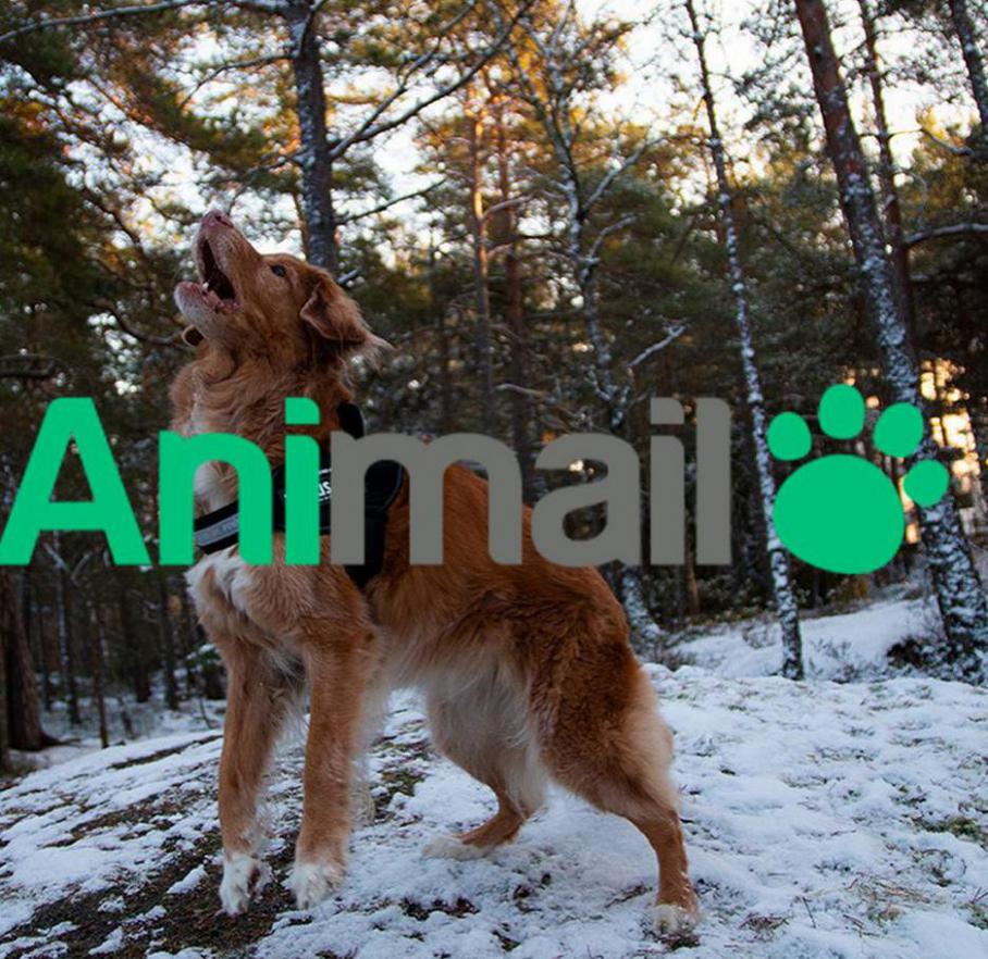 Animal ERBJUDANDE KAMPANJER  . Animail (2021-04-24-2021-04-24)