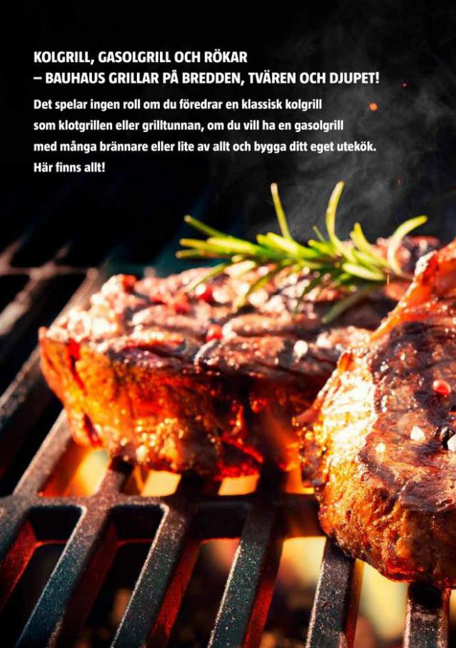  Grill 2021 . Page 2