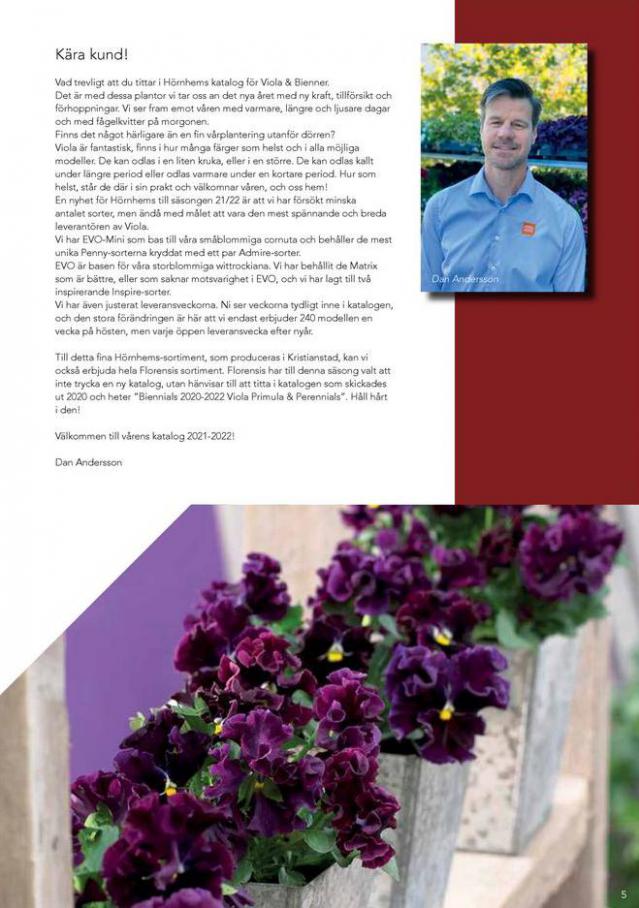  Hörnhems handelsträdgård Viola 2021 . Page 3