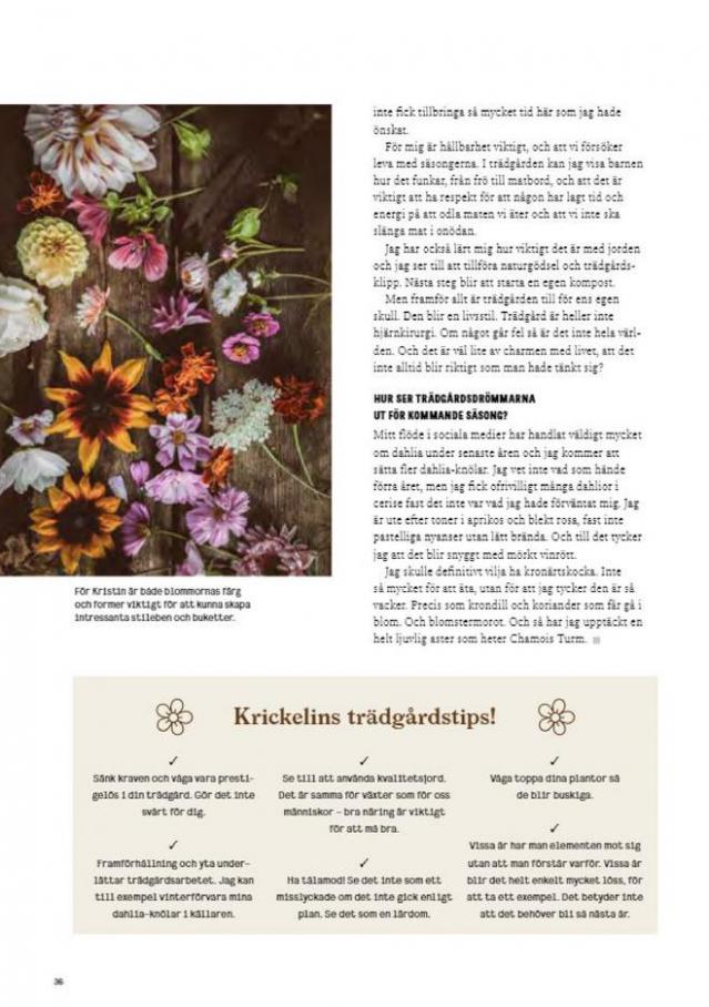 Blomsterlandet Erbjudande Aktuell. Page 36