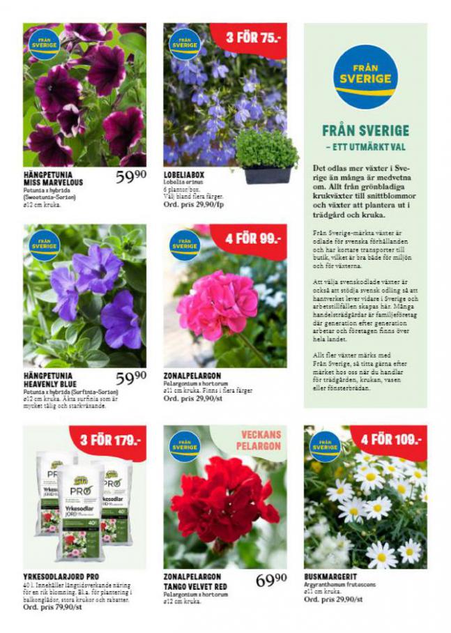  Blomsterlandet Erbjudande Aktuell  . Page 3