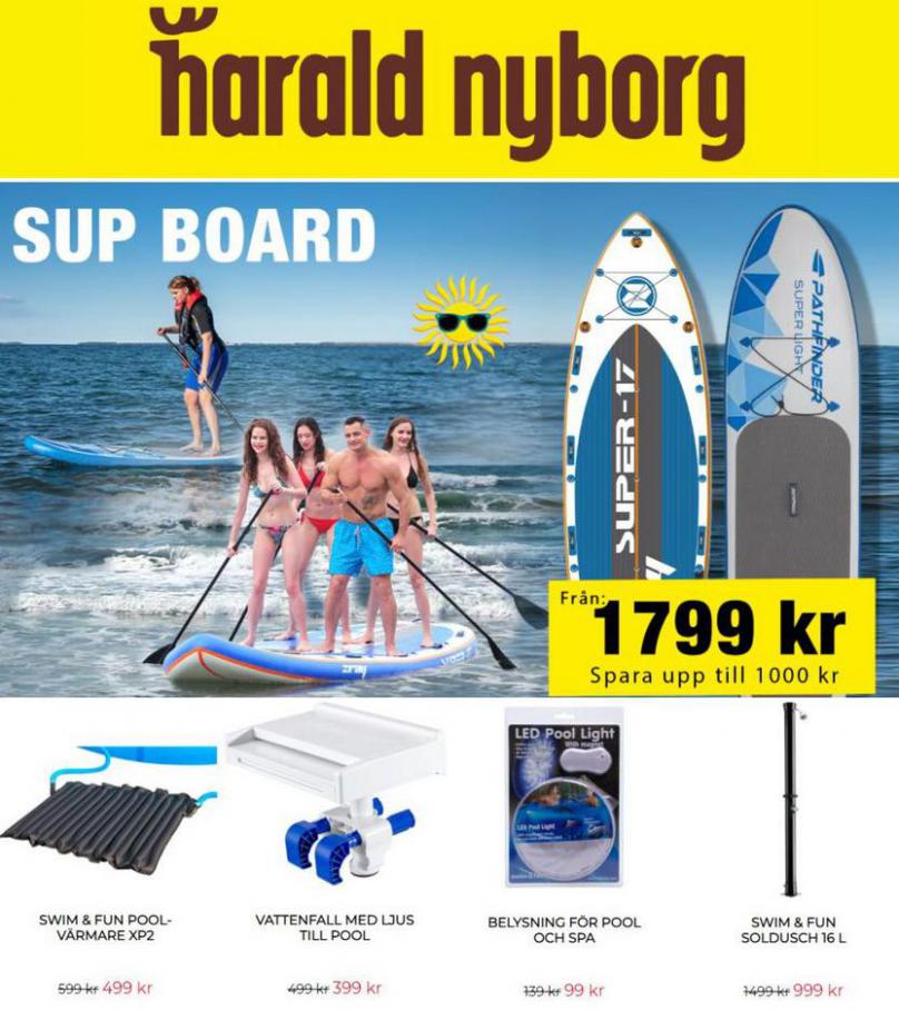 Vad gör du i sommar. Harald Nyborg (2021-08-31-2021-08-31)