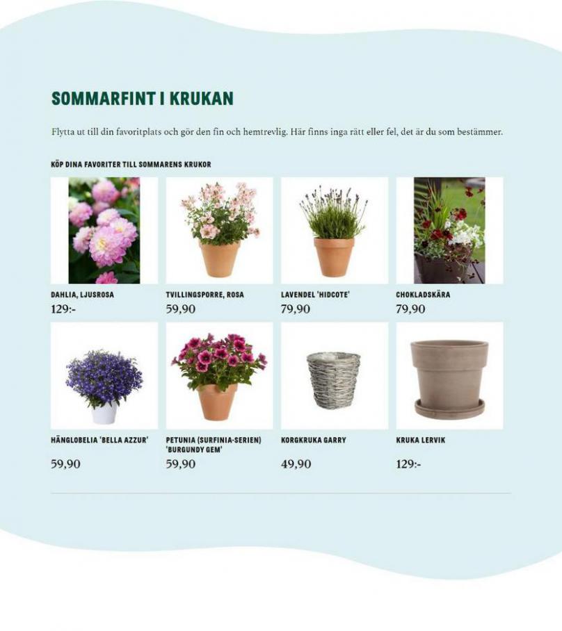 Blomsterlandet Erbjudande Aktuell. Page 5