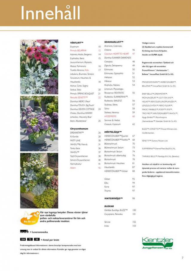 Hörnhems handelsträdgård katalog 2021. Page 7