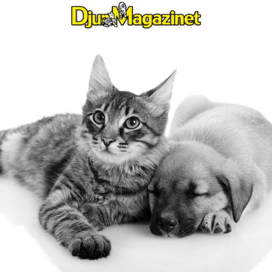 New offers. Djurmagazinet (2021-06-27-2021-06-27)