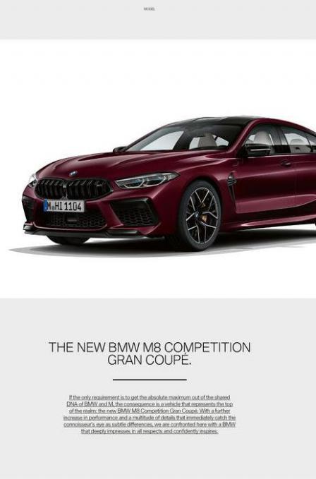 BMW M8 Gran Coupé. Page 48