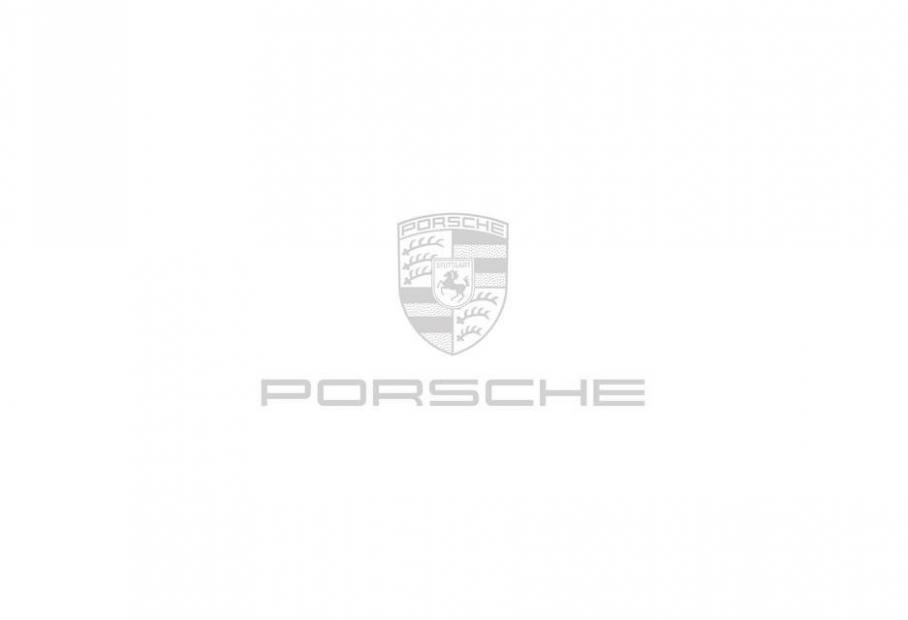 Porsche Cayenne. Page 3