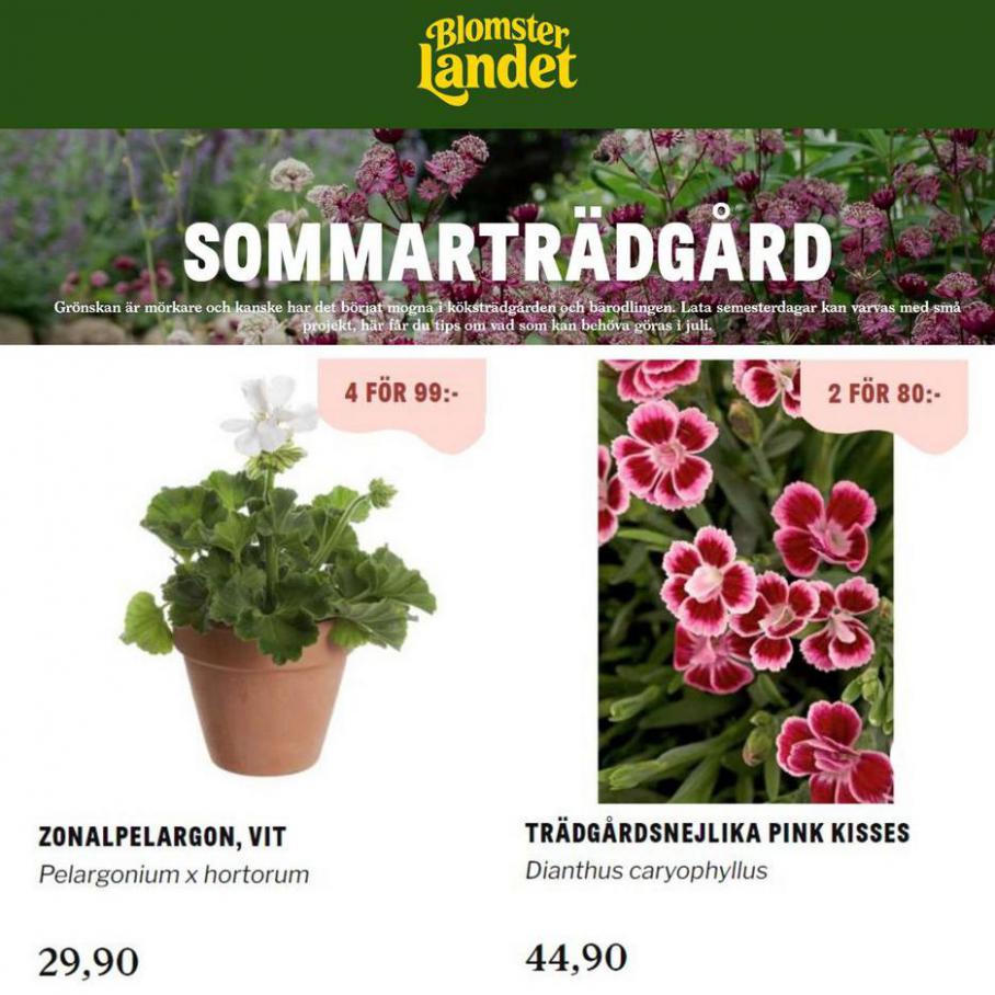 New offers. Blomsterlandet (2021-07-28-2021-07-28)