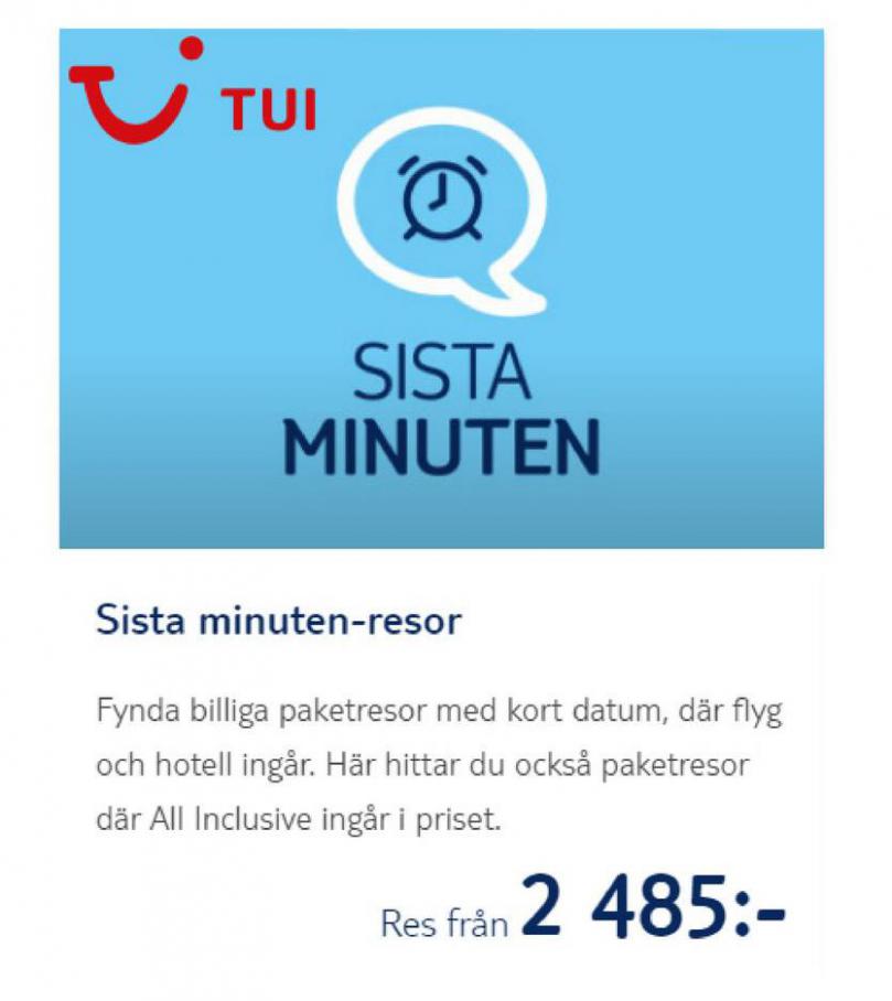 New offers. TUI (2021-07-31-2021-07-31)