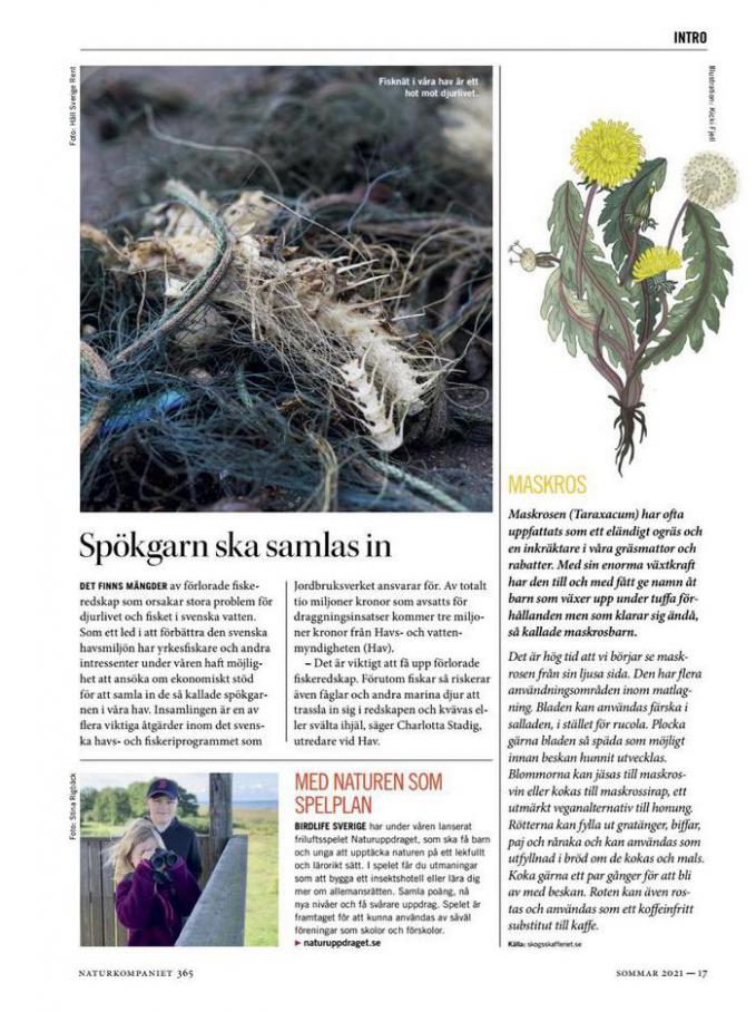 Sommar 2021. Page 17