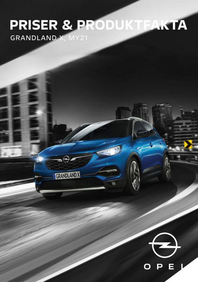 Opel GLX. Hedin Bil (2021-10-31-2021-10-31)